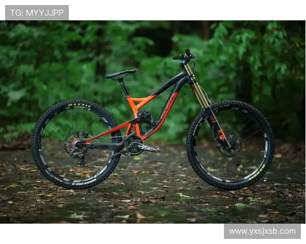 杭州极限运动队的控制策略与热点分析探讨