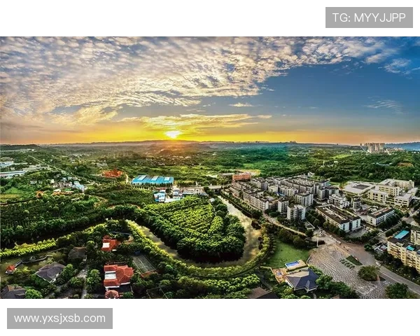 重庆网球队实力解析：探索这支球队的成长与未来发展潜力