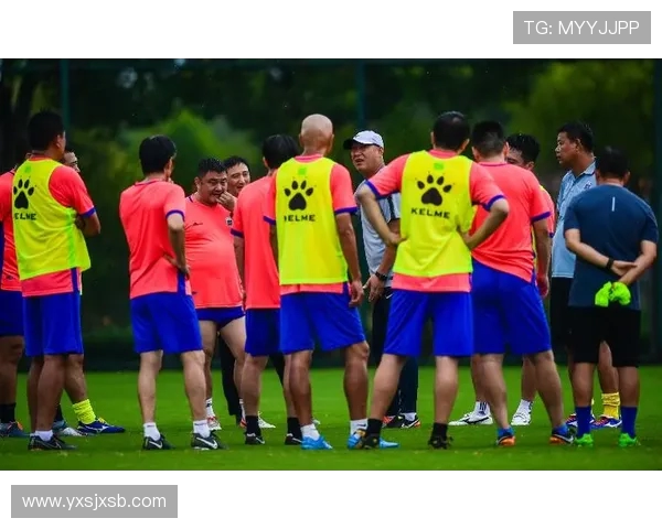 重庆足球队技术表现深度分析与数据解读探讨