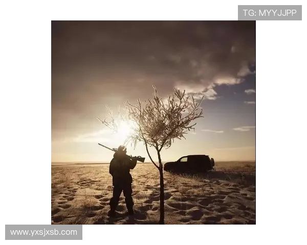 Elk射手带你探索荒野求生的秘密与远程狩猎的极致艺术