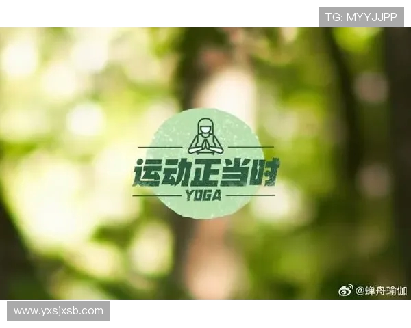 坚持科学健身打造健康体魄提升生活质量与身心全面发展