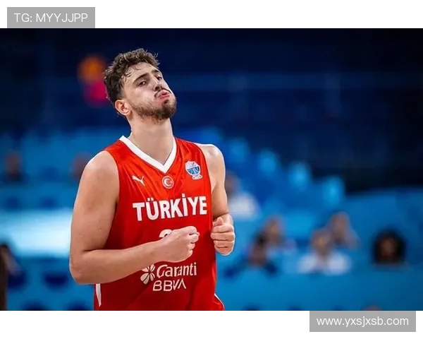 2010年美国与土耳其篮球赛精彩录像回放及解说分析